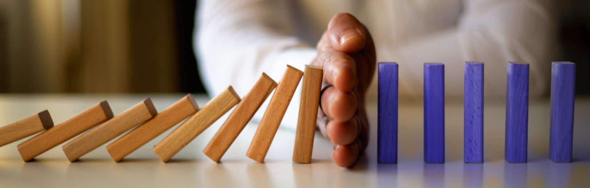 Lodge Security South Africa - Risk Management